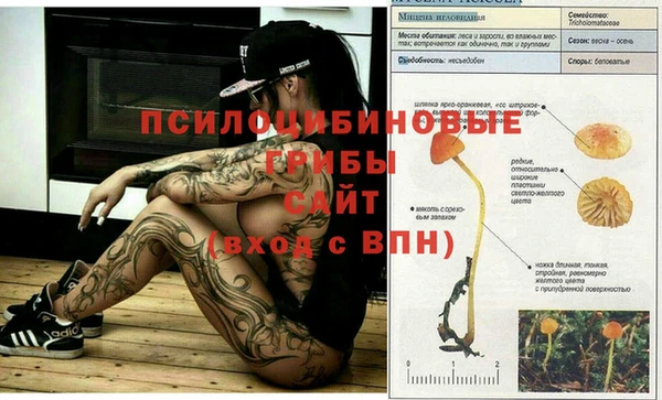 MDMA Нефтегорск