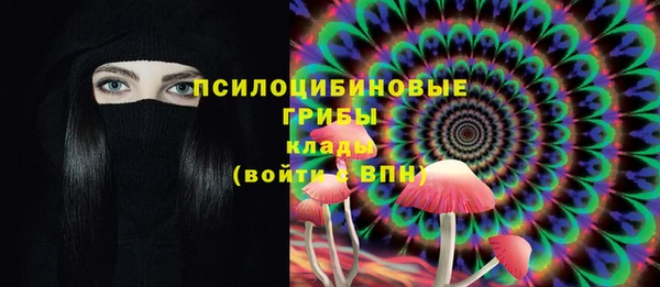 PSILOCYBIN Абаза