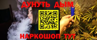 мдпв Гатчина