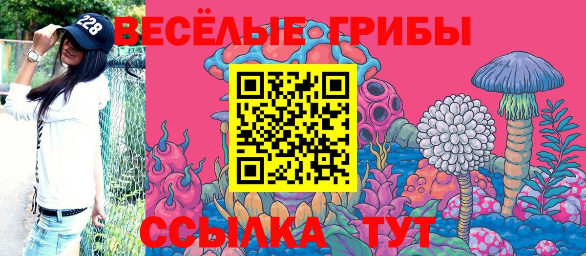 Псилоцибиновые грибы мухоморы Хасавюрт