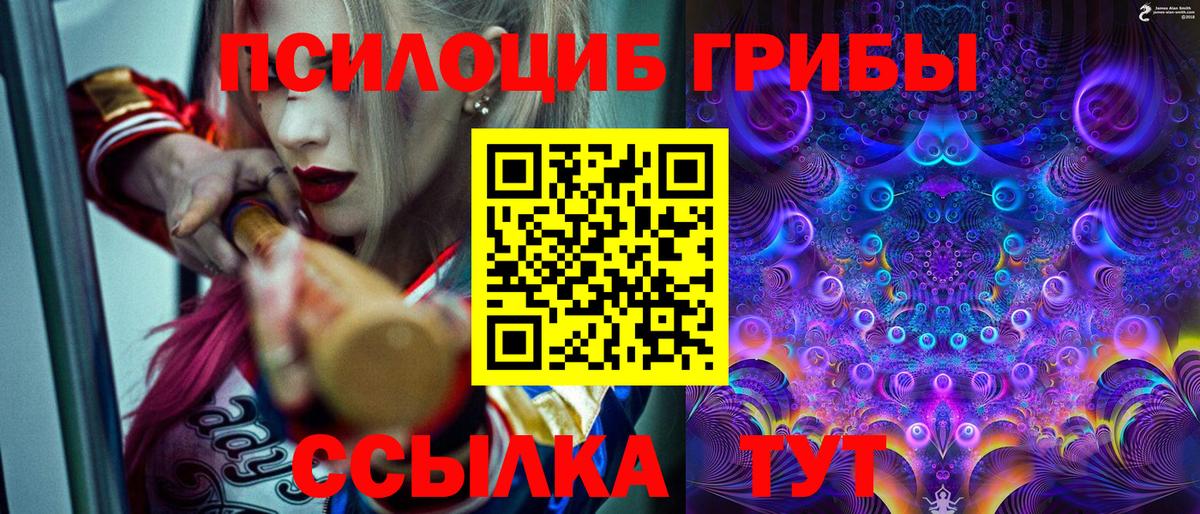Галлюциногенные грибы ЛСД  Вход с VPN  Хасавюрт 