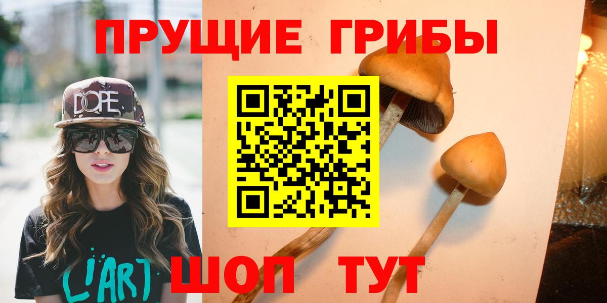 Псилоцибиновые грибы MAGIC MUSHROOMS Хасавюрт