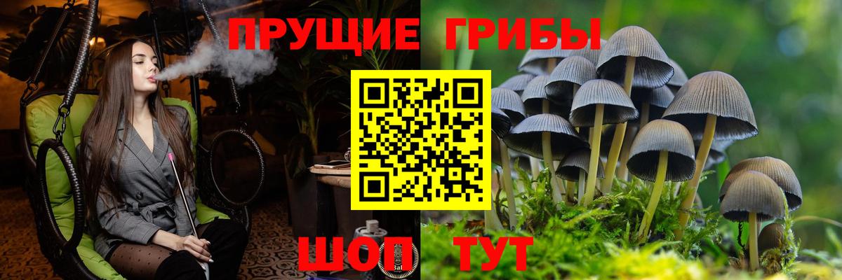 Хасавюрт  Псилоцибиновые грибы Magic Shrooms  Вход с VPN 