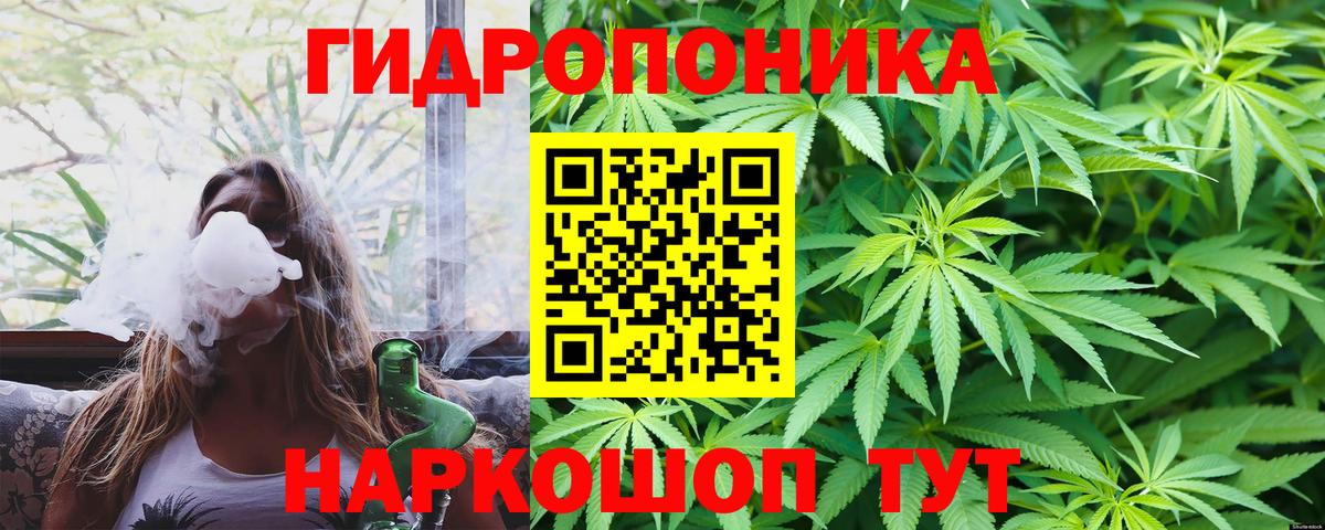 Марихуана AK-47  Бошки марихуана AK-47  МАРИХУАНА планчик  Вход с VPN  Хасавюрт 